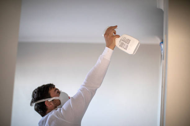 Best Local Mold Removal Service  in Woodside, PA