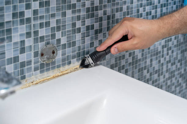 Best Fast Mold Removal  in Woodside, PA